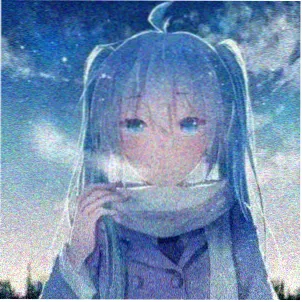 莓园小赵的头像